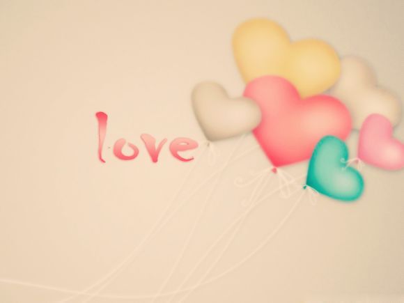 洛阳牡丹花会期间