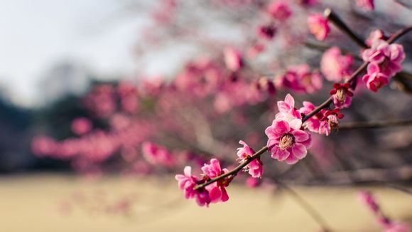 戚继光抗倭时间的高效记忆