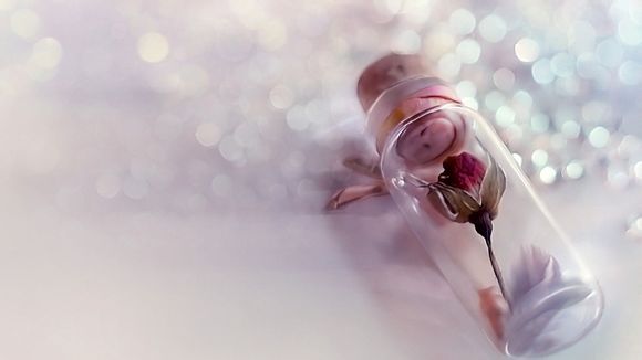 出国签证申请表怎么填