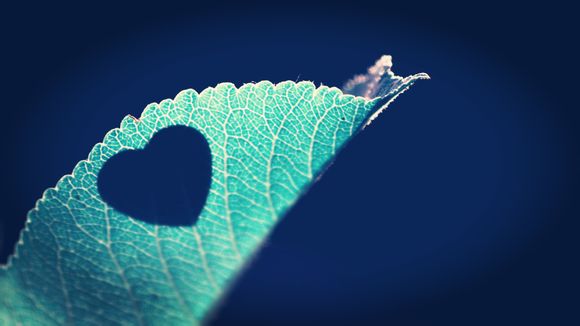 同学聚会横幅标语大全搞笑短句