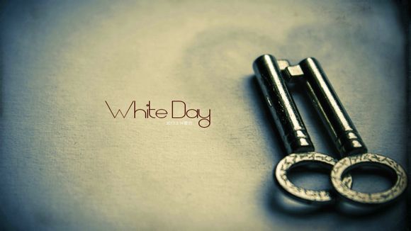 公司清算报告范本怎么写