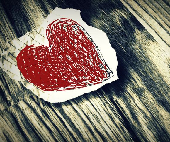 东坝郊野公园 银杏林