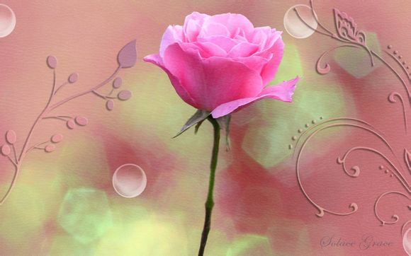 上海外滩最豪华的小区