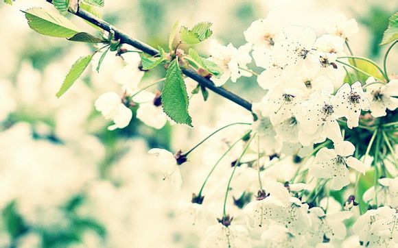 河北唐山属于高风险地区吗