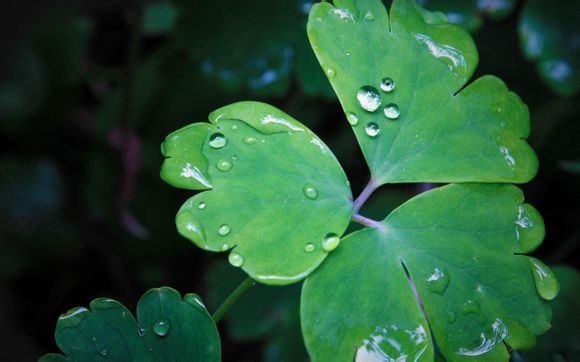 163邮箱怎么连接outlook