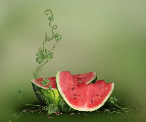 凤凰古城住哪里好,车停哪里