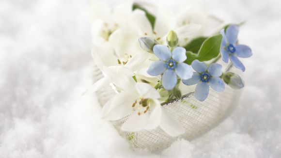 玉龙雪山有没有租羽绒服的