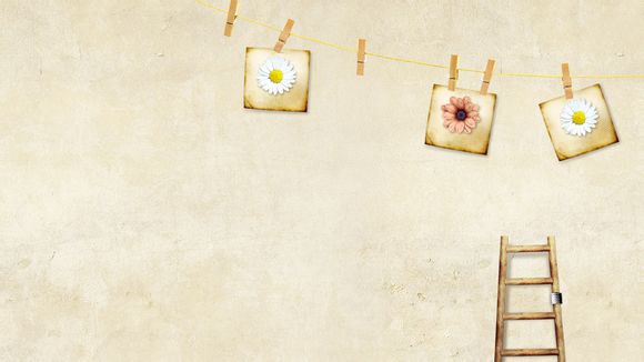 南宁维也纳酒店动物园店