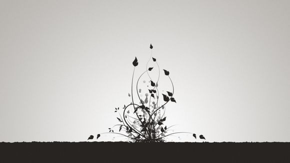 硫磺岛战役纪实