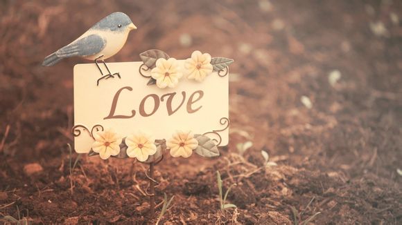 台山万达广场客服电话