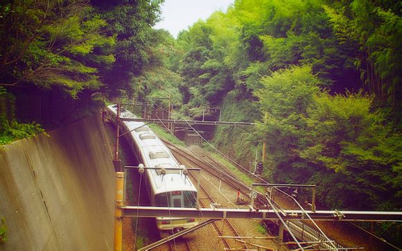 谢谢你作文800字记叙文