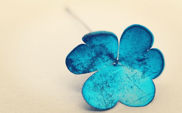 蟋蟀罐大小尺寸规格