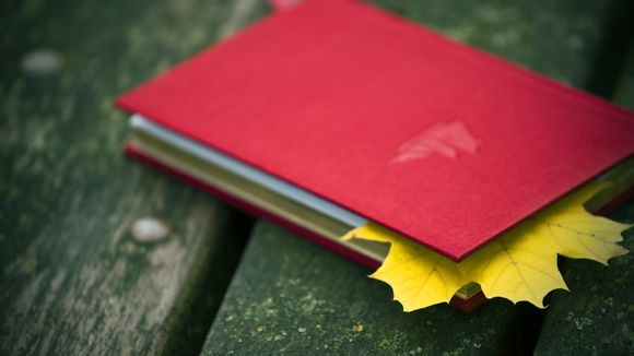 茅山温泉假日酒店付全款