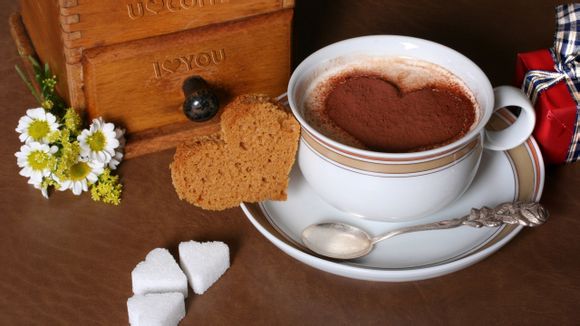 什么伴我成长作文300