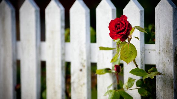吉林市周边一日自驾游