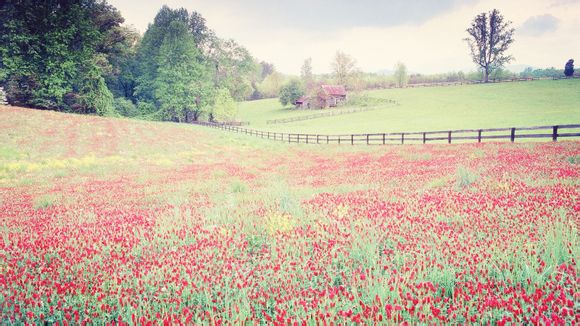 纽约时代广场中国广告