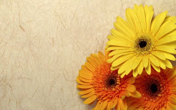 工会活动记录范本