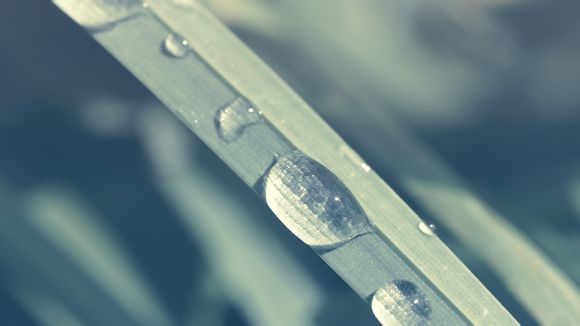 天津武清一日游必去景点