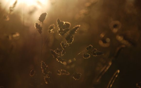 三国之无上至尊全文无删减无错