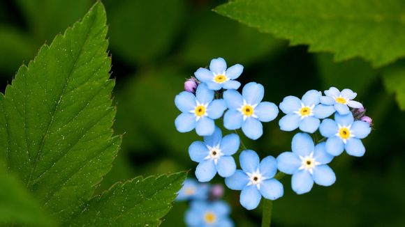 江苏省盐城市交通违章查询