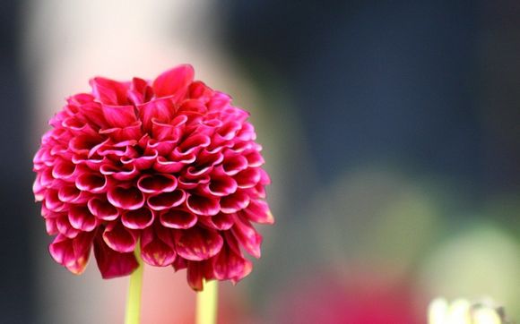 三峡大坝位于湖北省哪个市?