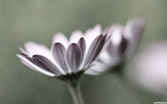 服务器学生机有哪些