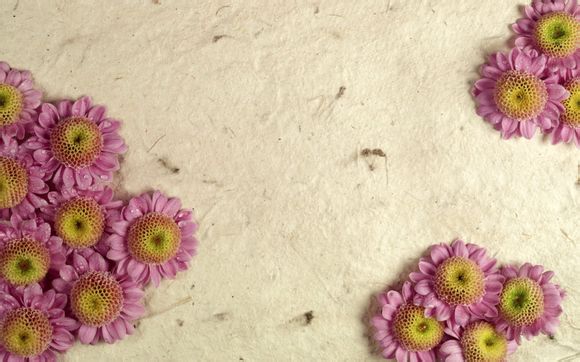 德国的法兰克福简介