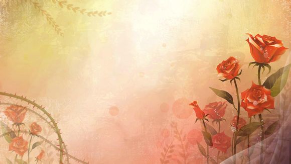 伊犁旅游租车价格多少