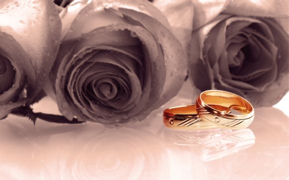 上海杨浦大桥是哪个区