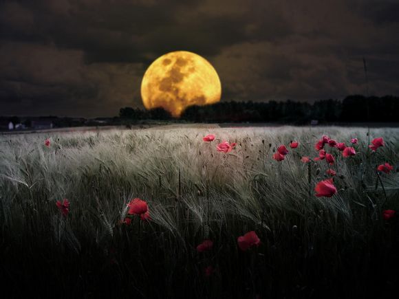 一站式企业服务平台英文