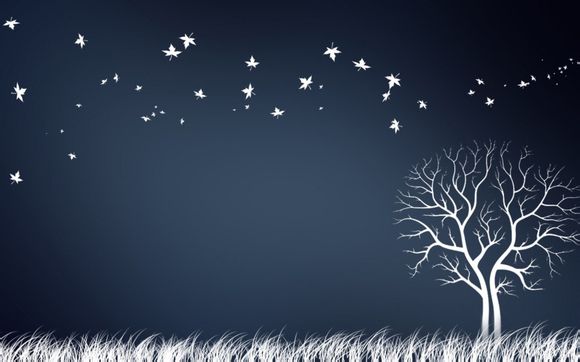 数码相机佳能ixus