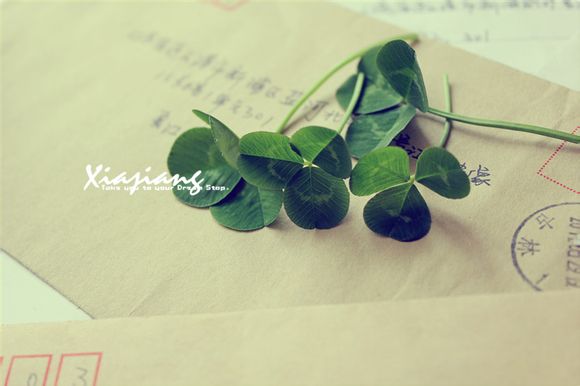 俄罗斯旅游好吗现在