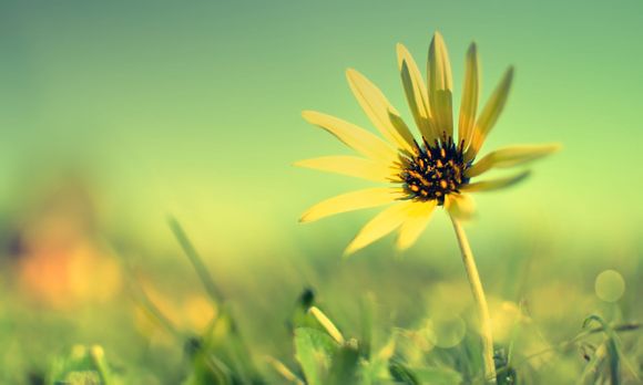 江西丰城是几线城市啊